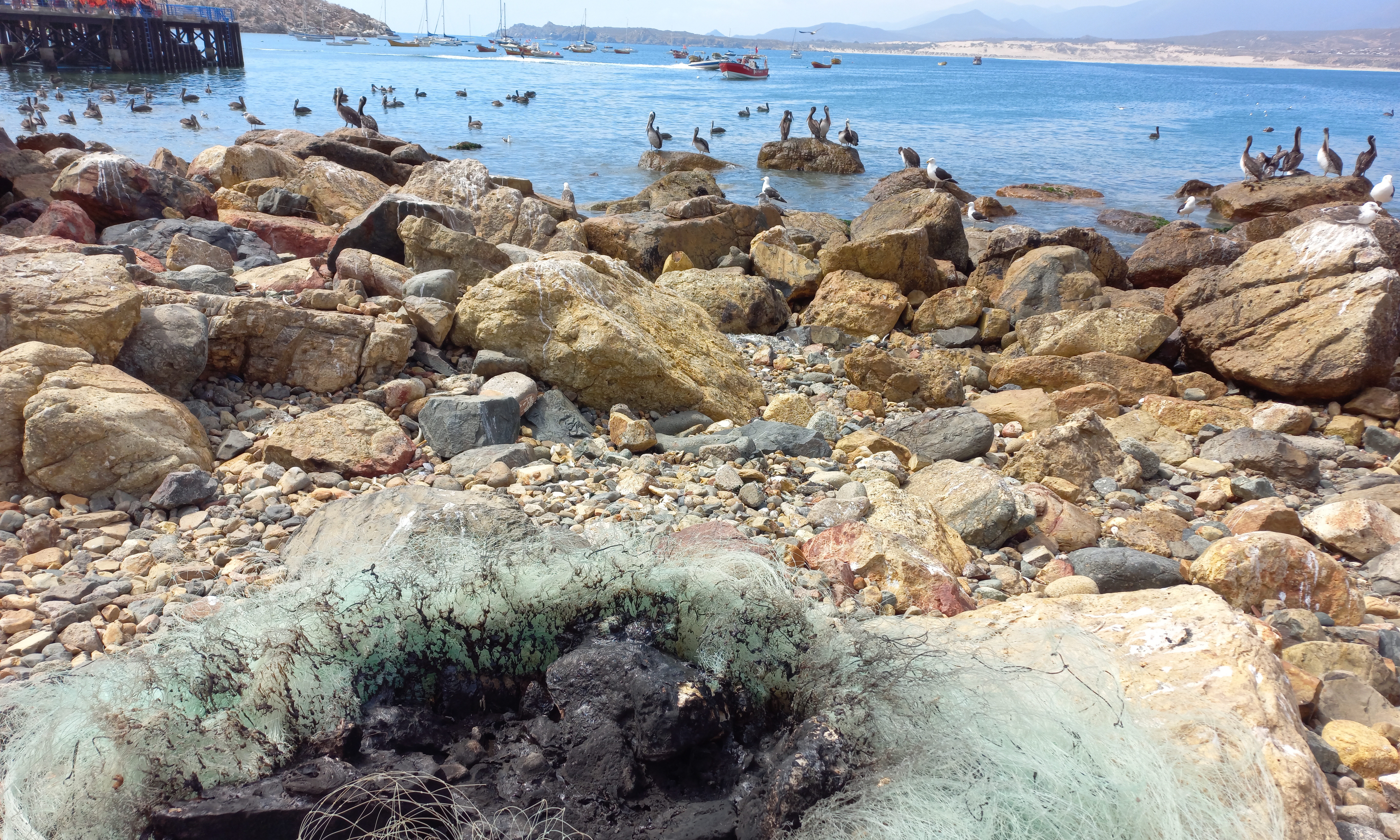 Anualmente en Chile: Más de 290 toneladas de residuos plásticos de la pesca artesanal quedarían en el mar