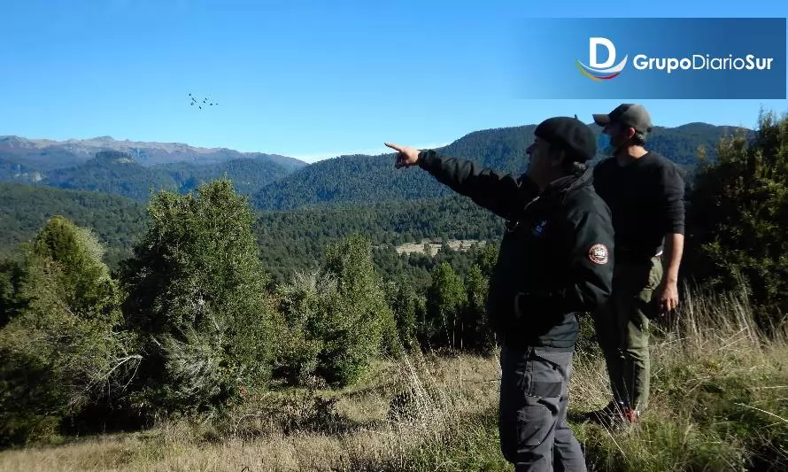 Inician procedimiento contra proyecto inmobiliario en el Parque Nacional Puyehue