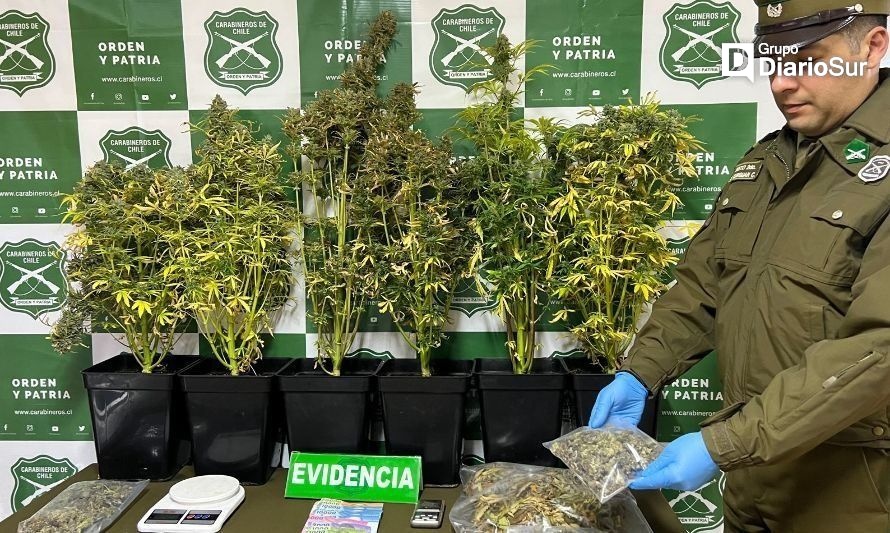 Carabineros de Valdivia detiene a dos personas por microtráfico de drogas